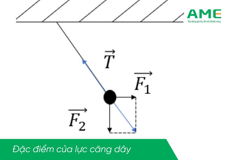 Lực căng dây là gì? Đặc điểm và công thức tinh