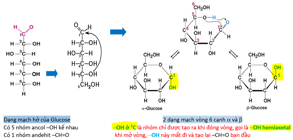 Công Thức Hóa Học Của Đường Saccharose, Glucose, Fructose