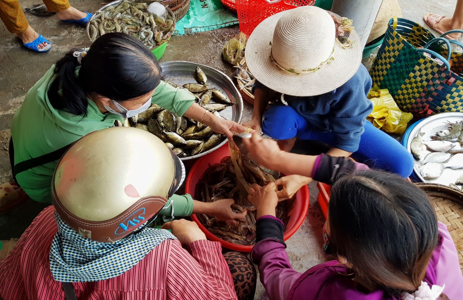 “Đầu voi đuôi chuột”