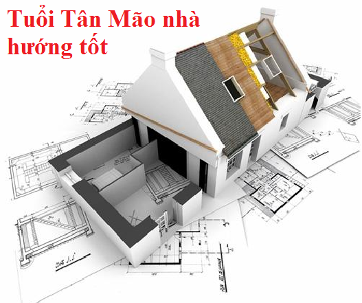 Xác định hướng nhà hợp phong thủy cho gia chủ tuổi Mão