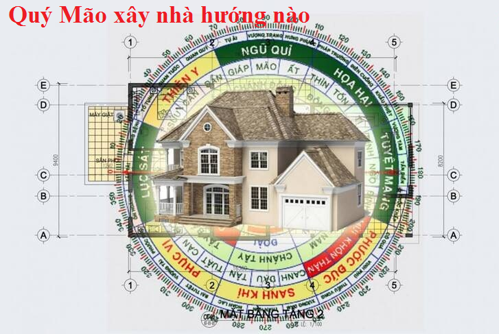 Xác định hướng nhà hợp phong thủy cho gia chủ tuổi Mão