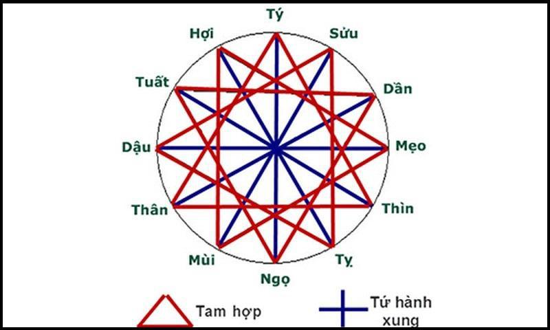 Tuổi Tỵ sinh năm bao nhiêu? Tính cách, sự nghiệp và tử vi từ A-Z