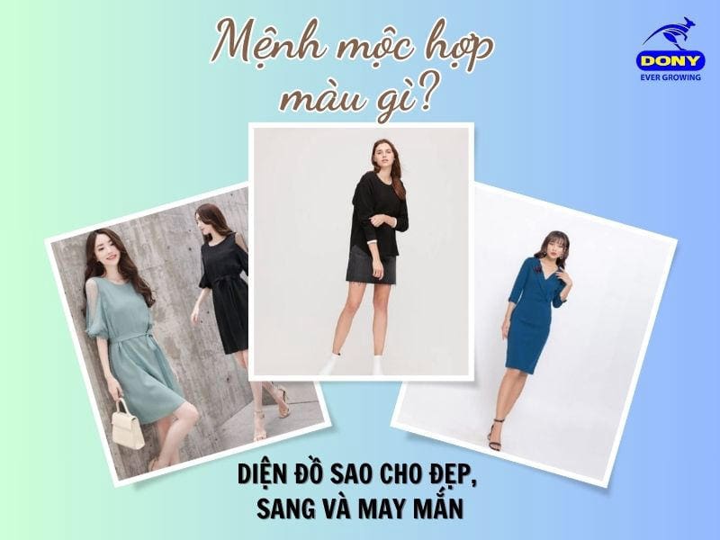 Mệnh mộc hợp màu gì? Diện đồ sao cho đẹp, sang và may mắn