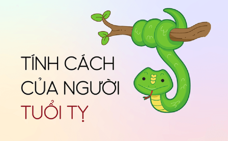 Tuổi Tỵ sinh năm bao nhiêu? Tính cách, sự nghiệp và tử vi từ A-Z