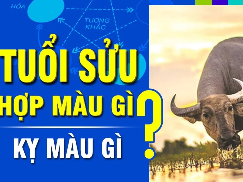 Tuổi Sửu con người sống tình cảm và có ý chí trong sự nghiệp