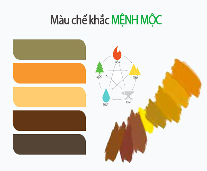 Mệnh mộc hợp mệnh gì, khắc mệnh gì?