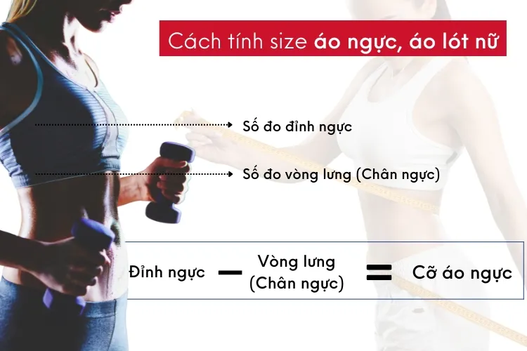 Bảng size áo nữ mới nhất 2022 và cách chọn size áo chuẩn nhất