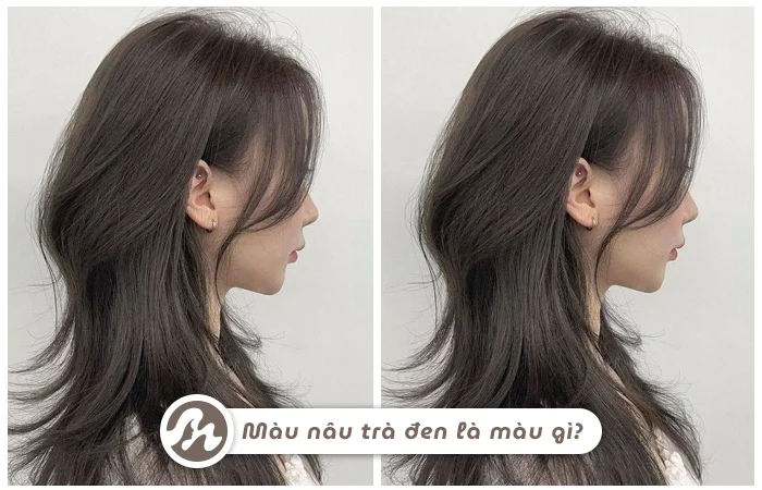 Màu Nâu Trà Đen Và Những Điều Cần Biết Trước Khi Nhuộm