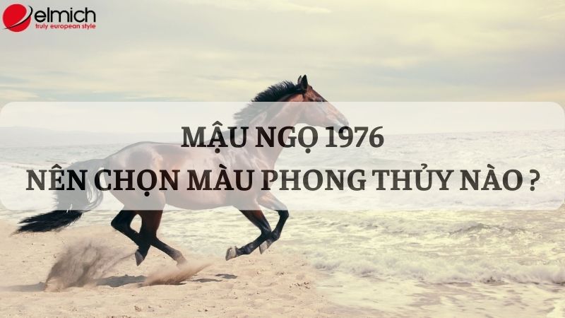 Bật mí chi tiết tuổi Ngọ hợp màu gì và kỵ màu nào 2024