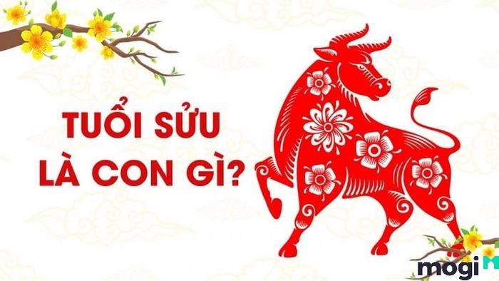 Tuổi Sửu là con gì? Khám phá vận mệnh, tình duyên và sự nghiệp của người tuổi Sửu trong năm nay