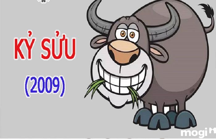 Tuổi Sửu là con gì? Khám phá vận mệnh, tình duyên và sự nghiệp của người tuổi Sửu trong năm nay