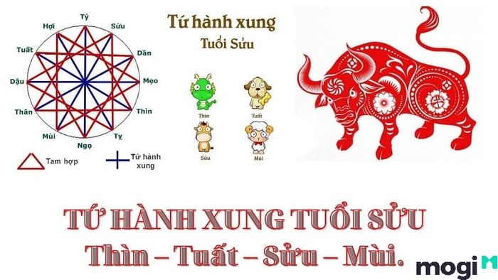 Tuổi Sửu là con gì? Khám phá vận mệnh, tình duyên và sự nghiệp của người tuổi Sửu trong năm nay