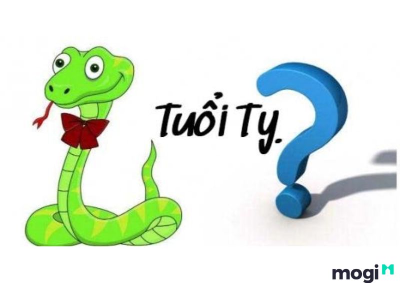 Tỵ Là Con Gì Trong 12 Con Giáp – Chi Tiết Vận Mệnh Của Người Tuổi Tỵ