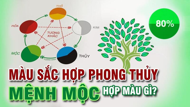 Phong thủy mệnh Mộc hợp màu nào và kỵ màu nào nhất?