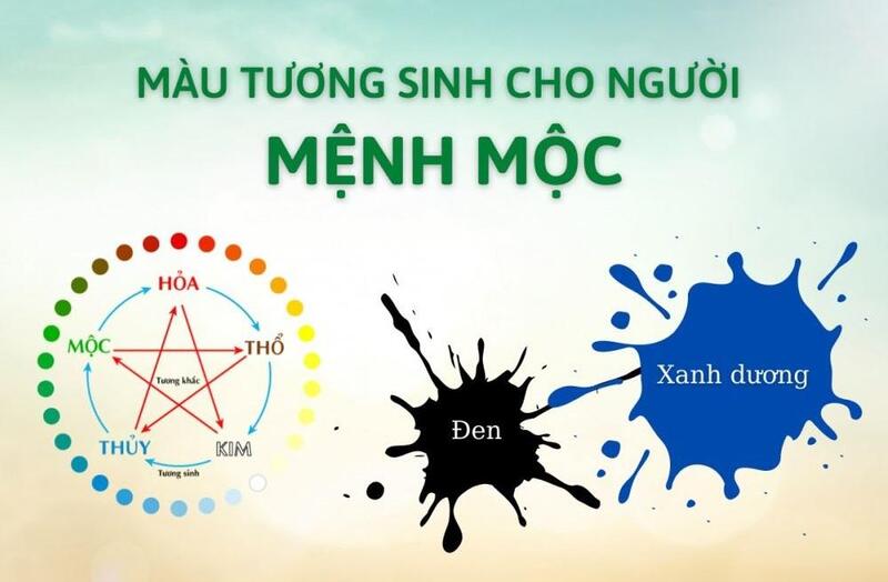 Phong thủy mệnh Mộc hợp màu nào và kỵ màu nào nhất?