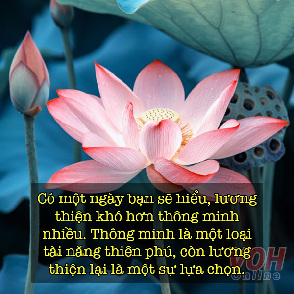 77 câu nói hay về tâm đức đầy thấm thía