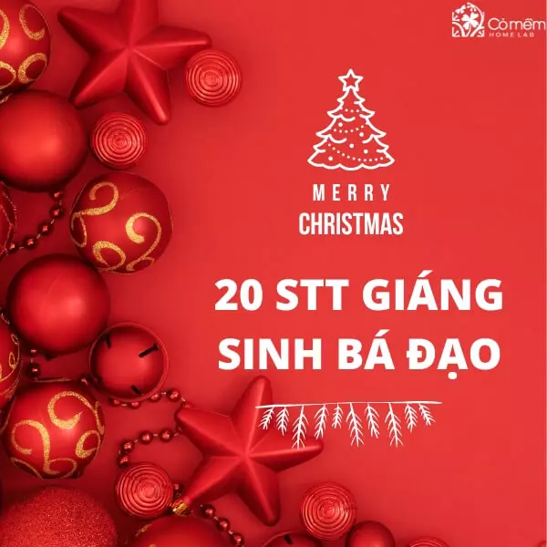 199+ STT Giáng Sinh 2024 Hài Hước, Bá Đạo, Cực Ngầu Cho 2K