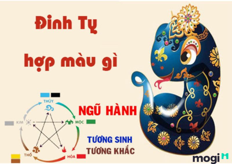 Tỵ Là Con Gì Trong 12 Con Giáp - Chi Tiết Vận Mệnh Của Người Tuổi Tỵ