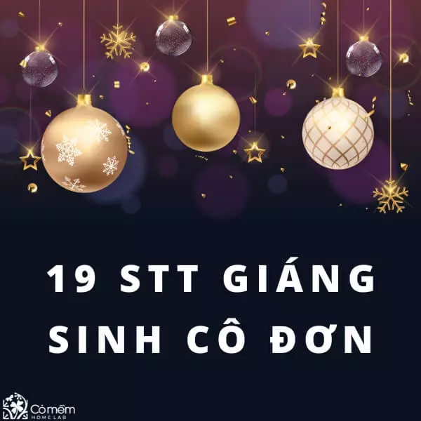 199+ STT Giáng Sinh 2024 Hài Hước, Bá Đạo, Cực Ngầu Cho 2K