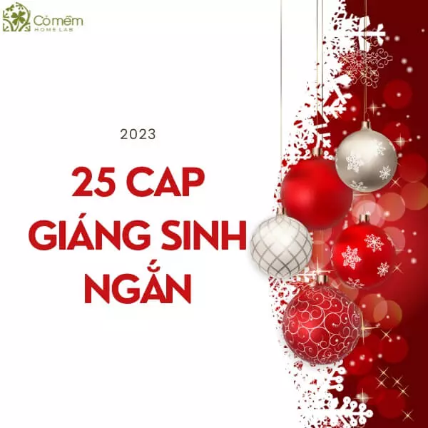 199+ STT Giáng Sinh 2024 Hài Hước, Bá Đạo, Cực Ngầu Cho 2K