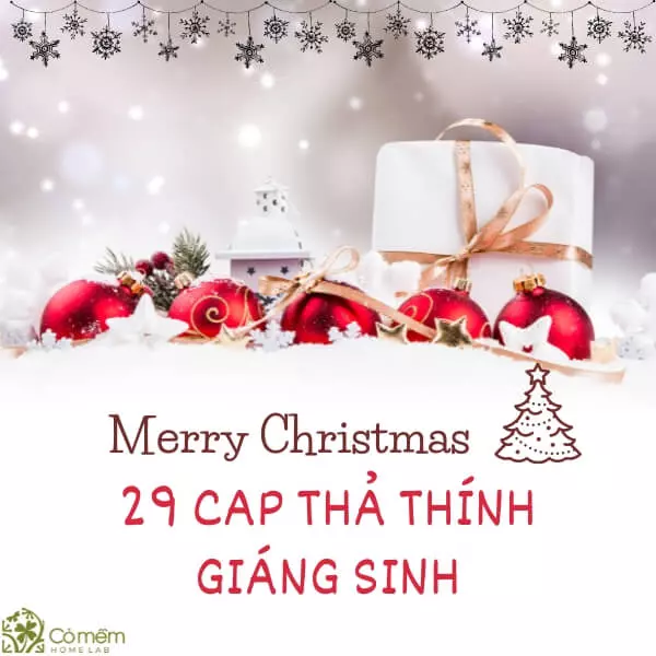 199+ STT Giáng Sinh 2024 Hài Hước, Bá Đạo, Cực Ngầu Cho 2K