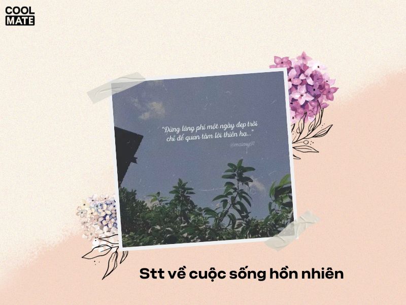 200+ stt cuộc sống an nhiên, tự tại, bình dị về cuộc sống