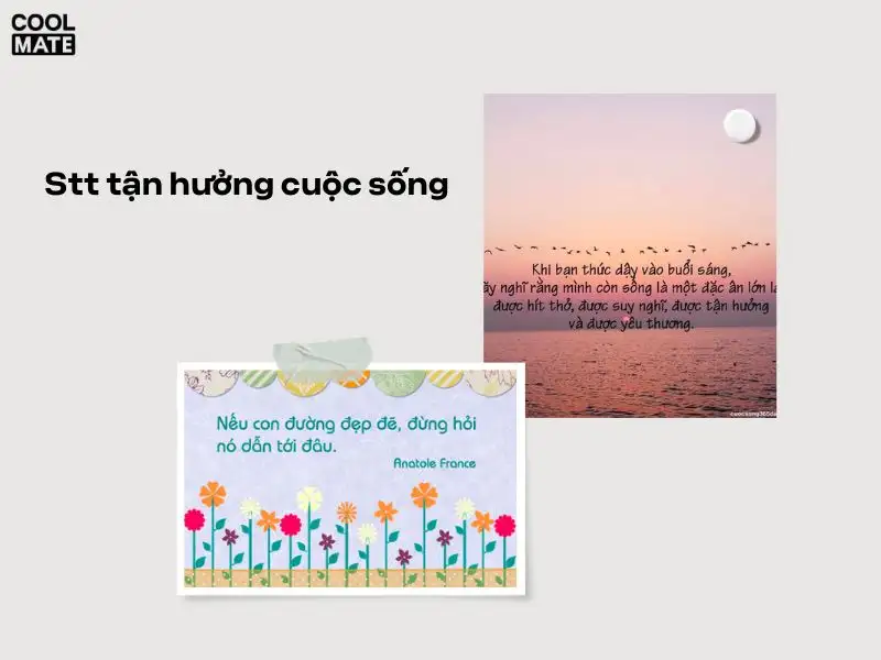 200+ stt cuộc sống an nhiên, tự tại, bình dị về cuộc sống