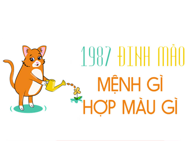 Sinh năm 1987 hợp màu gì? Mẫu đá ốp dành cho gia chủ 1987