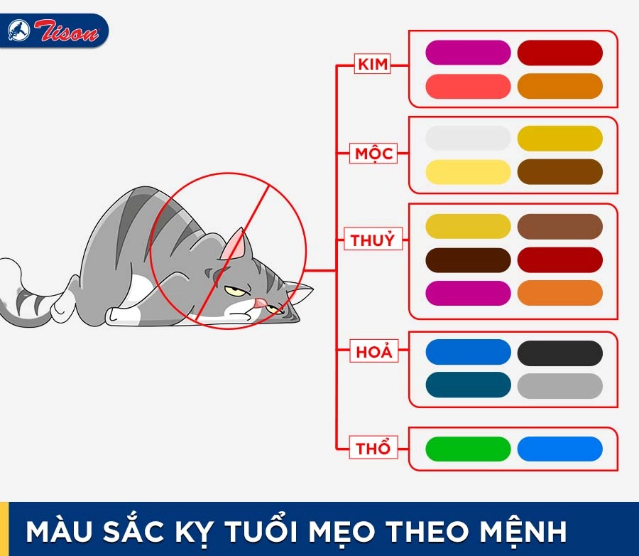 Tuổi Mẹo nên chọn màu sơn gì cho năm 2023 thêm phú quý?