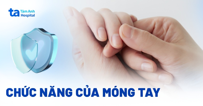 Móng tay: Cấu tạo, vị trí, chức năng và bệnh lý thường gặp