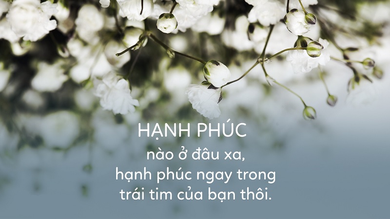 Những STT bình yên về cuộc sống giúp bạn vui vẻ, an yên