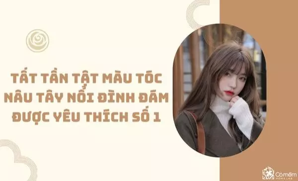 Tất tần tật màu tóc nâu tây nổi đình đám được yêu thích số 1