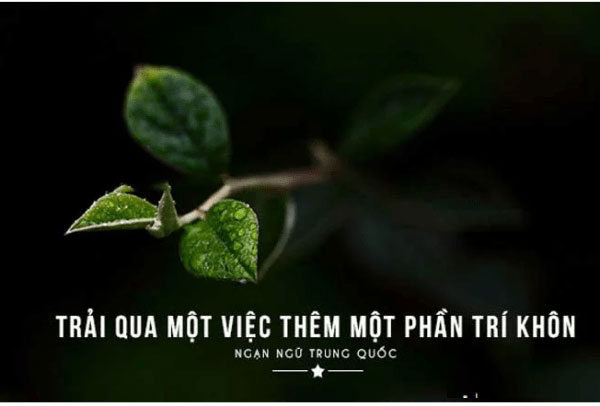 Những câu nói hay về công việc, stt hay về công việc truyền cảm hứng giúp bạn đạt được thành công