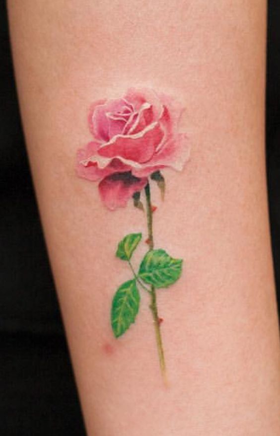 333+ hình xăm hoa đẹp cho nữ nhẹ nhàng và tinh tế - Genztattoo