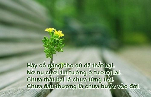 Những câu nói hay về công việc, stt hay về công việc truyền cảm hứng giúp bạn đạt được thành công