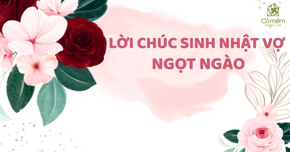 Lời Chúc Sinh Nhật Vợ Ngọt Ngào, Cảm Động “Gia Tăng” Tình Cảm Vợ Chồng