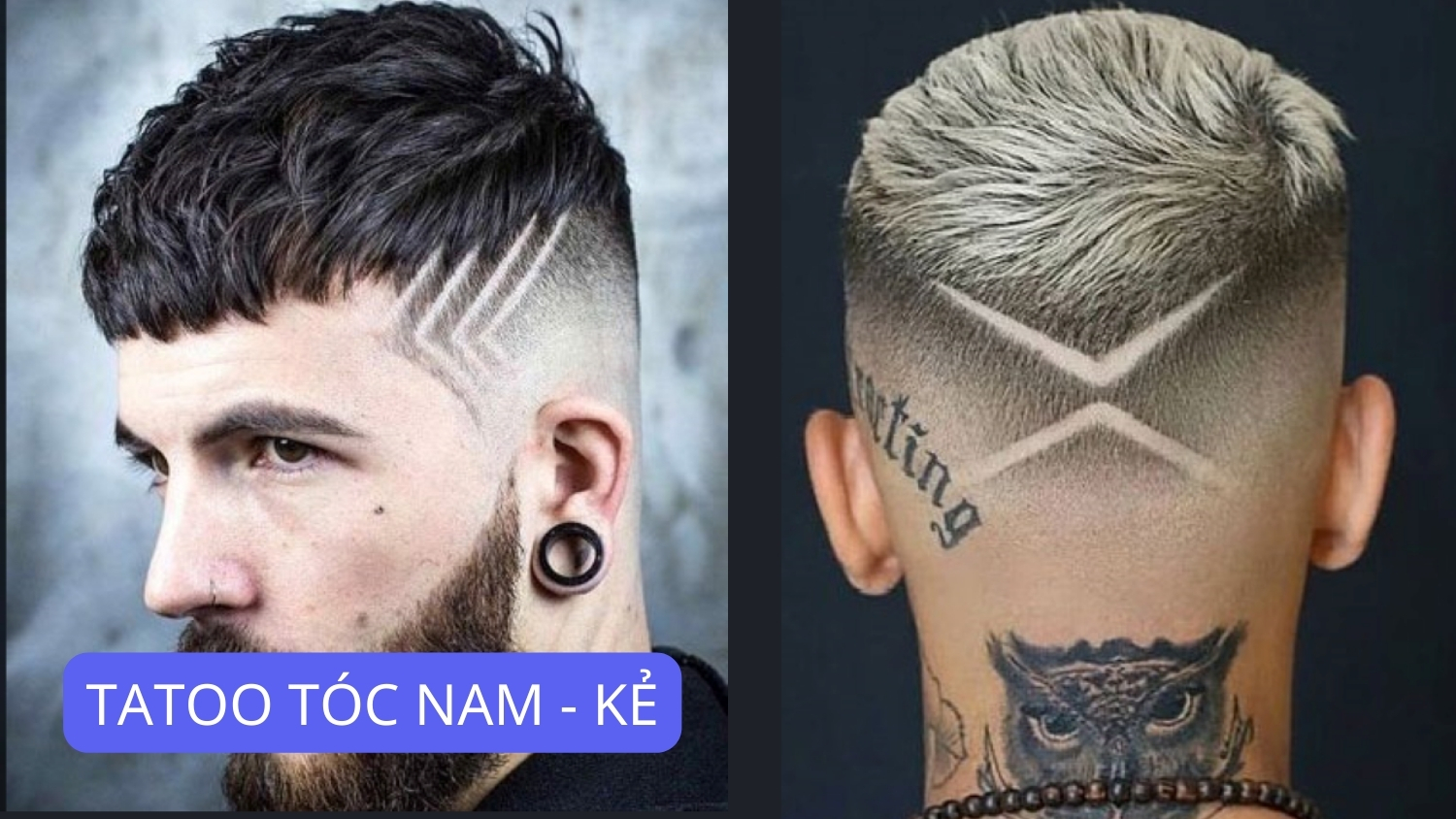 Tatoo Tóc: Nghệ Thuật & Cá Tính