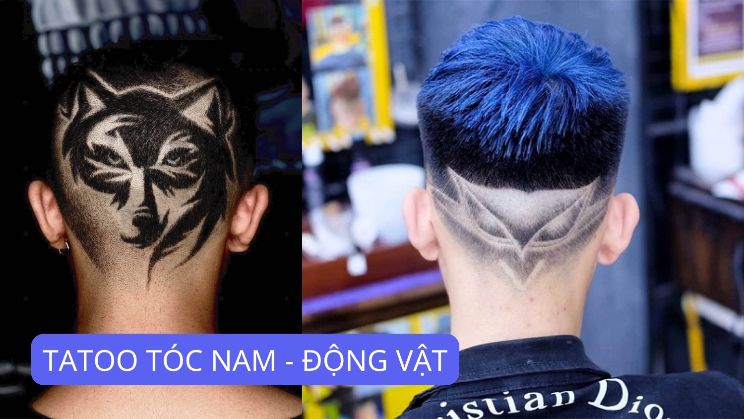 Tatoo Tóc: Nghệ Thuật & Cá Tính