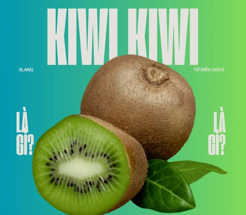 Kiwi Kiwi là gì? Tại sao cụm từ này lại viral khắp cõi mạng?