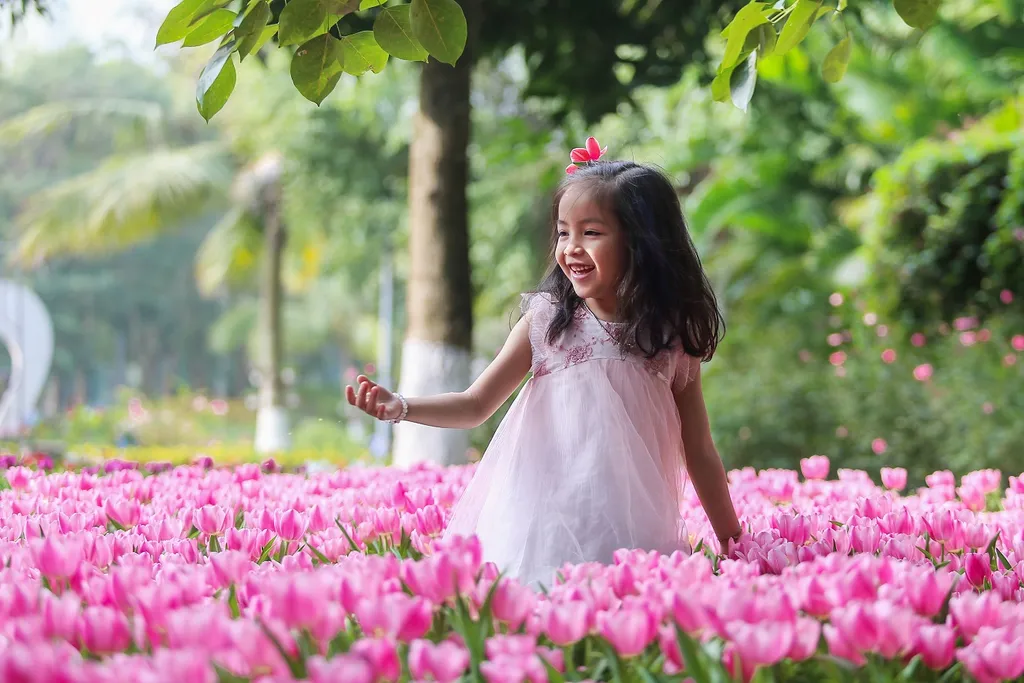 Đặc điểm và ý nghĩa của hoa tulip trong đời sống hiện nay