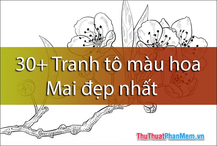 Khám phá hơn 30 bức tranh tô màu hoa Mai đẹp nhất