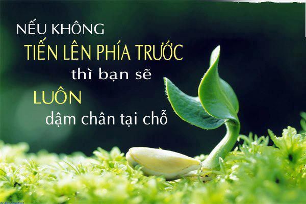 NHỮNG CÂU NÓI HAY VỀ CÔNG VIỆC GIÚP BẠN VỰC DẬY VÀ TIẾP BƯỚC THÀNH CÔNG.