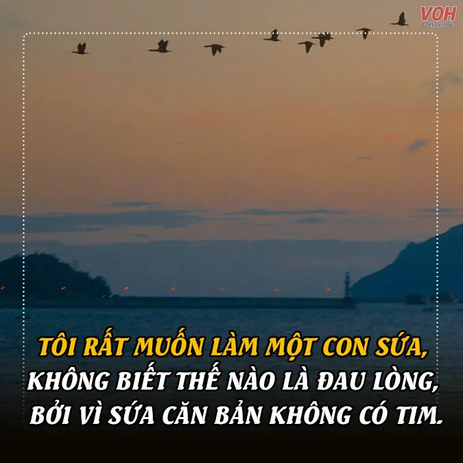 80 stt bế tắc trong cuộc sống, cap bế tắc mệt mỏi vì tình và tiền