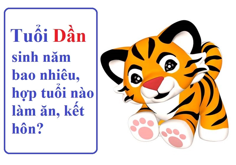 Tuổi Dần sinh năm bao nhiêu? Đặc điểm nổi bật từng tuổi