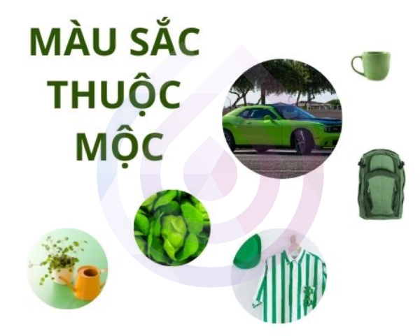 Ngũ hành Mộc là gì? Thiếu Mộc ảnh hưởng gì?