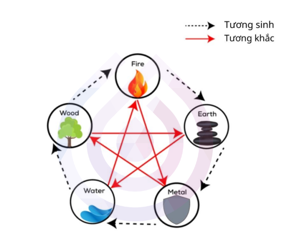 Ngũ hành Mộc là gì? Thiếu Mộc ảnh hưởng gì?