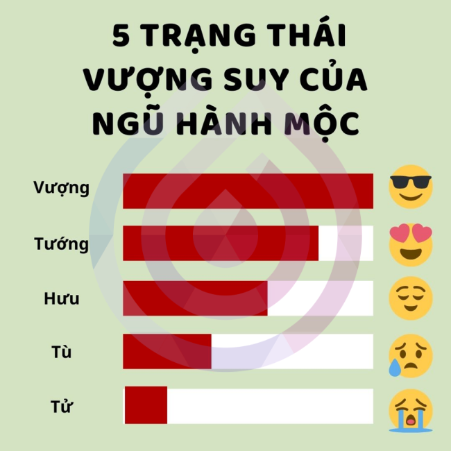 Ngũ hành Mộc là gì? Thiếu Mộc ảnh hưởng gì?