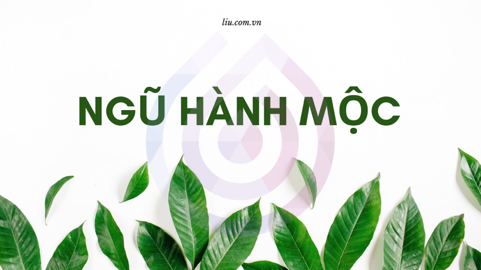 Ngũ hành Mộc là gì? Thiếu Mộc ảnh hưởng gì?