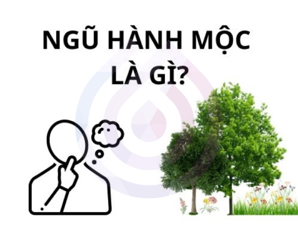 Ngũ hành Mộc là gì? Thiếu Mộc ảnh hưởng gì?