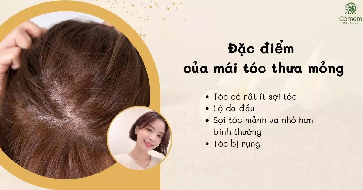 Gợi ý 99+ kiểu tóc dành cho tóc mỏng giúp tóc bồng bềnh cuốn hút